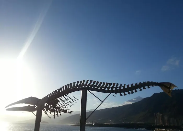 Vakantiehuis Casa Atlantico - Nur Einen Steinwurf Vom Atlantik Entfernt Ab Mai 2022 Komplett Neu Renoviert *